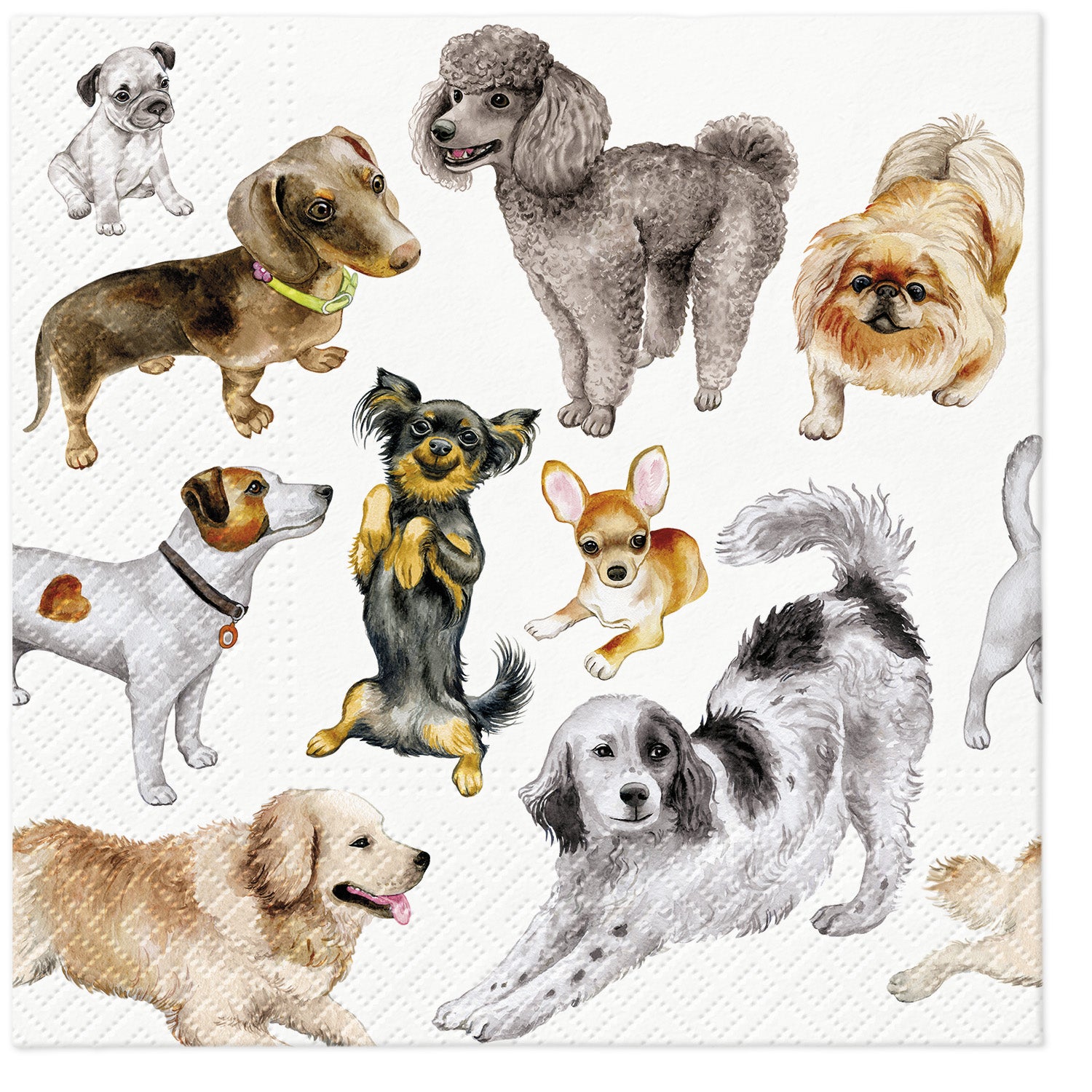 Lunch Napkin 33cm Dogs Happiness